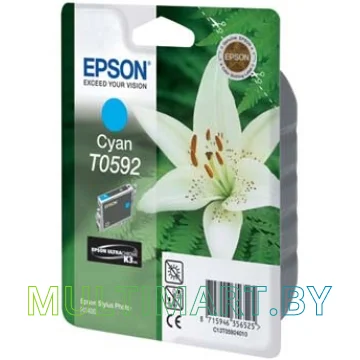 Картридж Epson C13T05924010 картинка 2